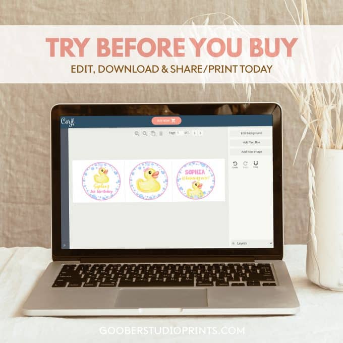 Rubber Duck Birthday Cupcake Toppers - Image 4