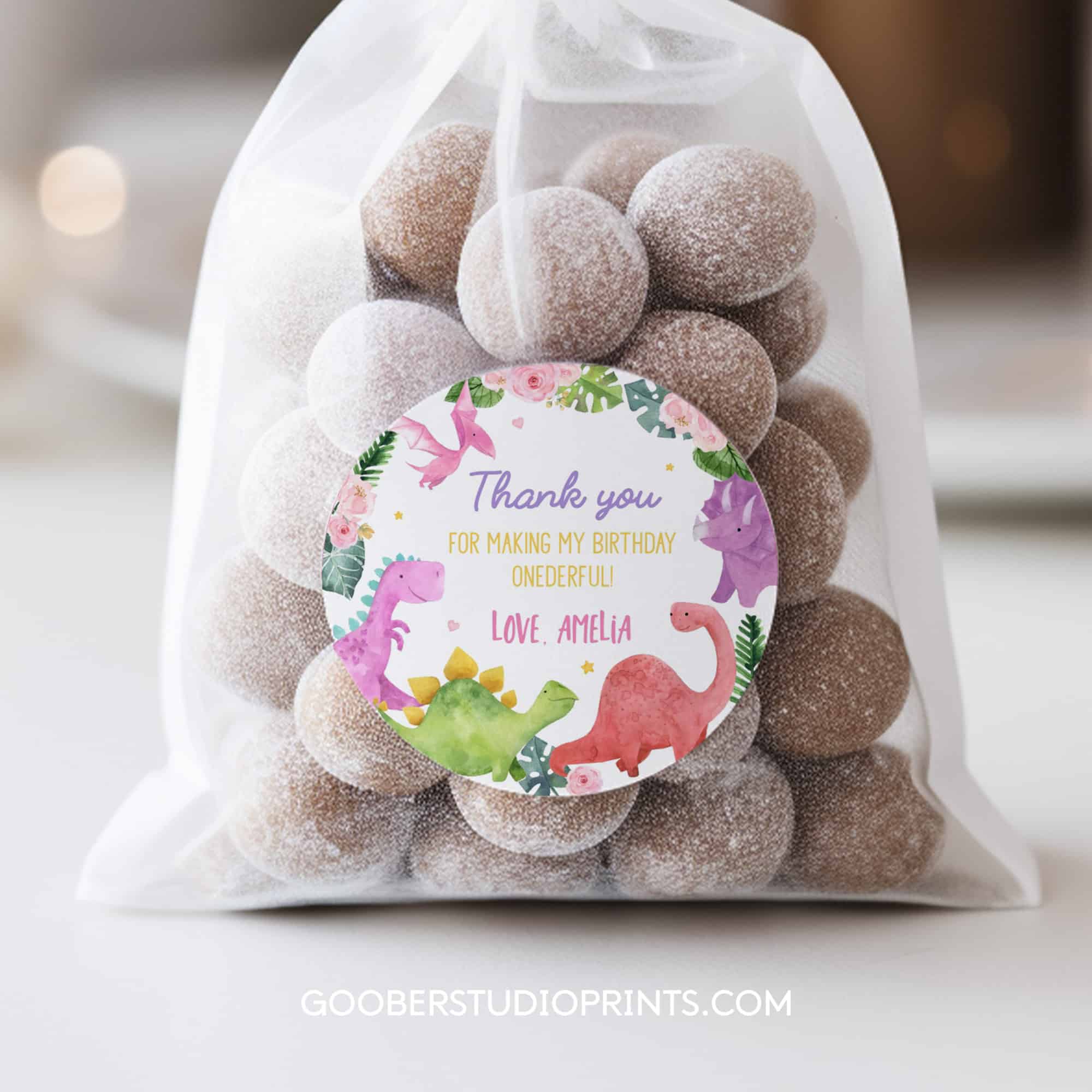 Dinosaur Birthday Thank You Favor Tag