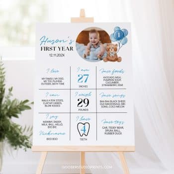 Teddy Bear Birthday Milestone Photo Poster