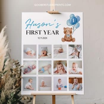 Teddy Bear Birthday Photo Collage