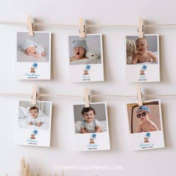 Teddy Bear Birthday Monthly Photo Banner