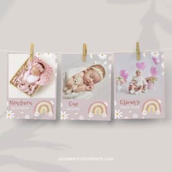 Daisy Rainbow Birthday Monthly Photo Banner