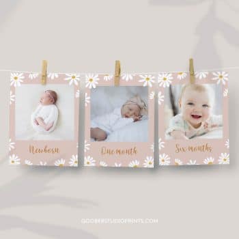 Daisy Birthday Monthly Photo Banner