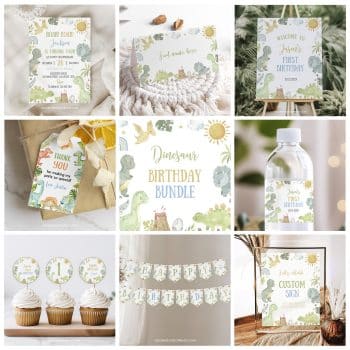 Cute Dinosaur Birthday Set Bundle
