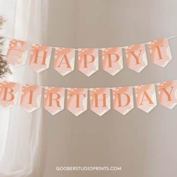 Groovy Daisy Birthday Banner
