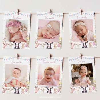 Farm Animals Birthday Party Monthly Photo Banner