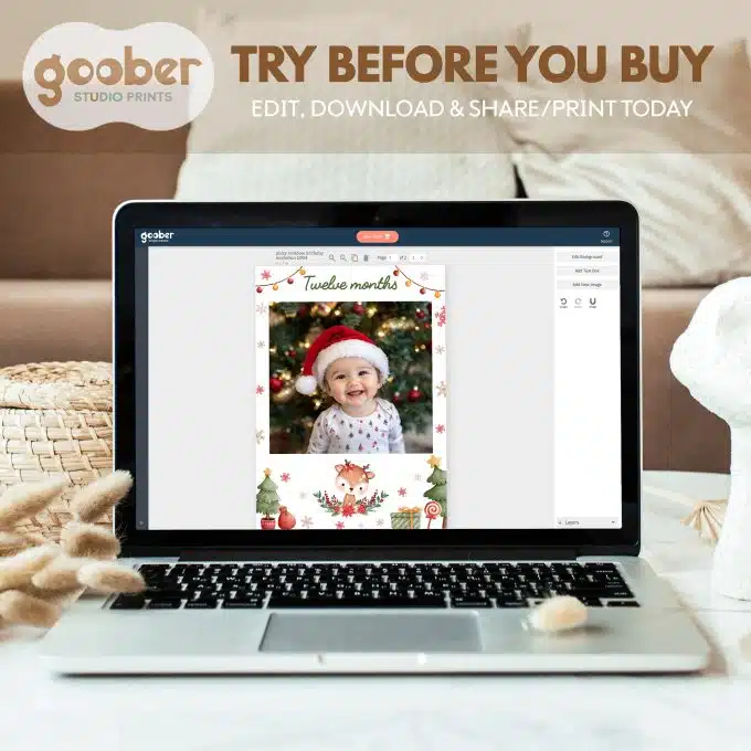 Christmas Reindeer Birthday Monthly Photo Banner - Image 4