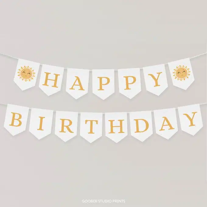 First Trip Around The Sun Birthday Banner