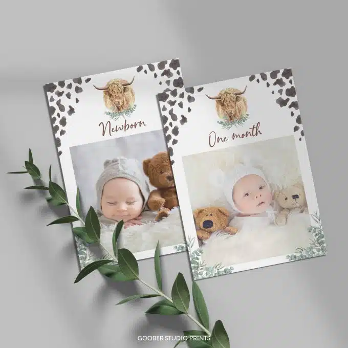 Highland Cow Birthday Monthly Photo Banner - Image 3