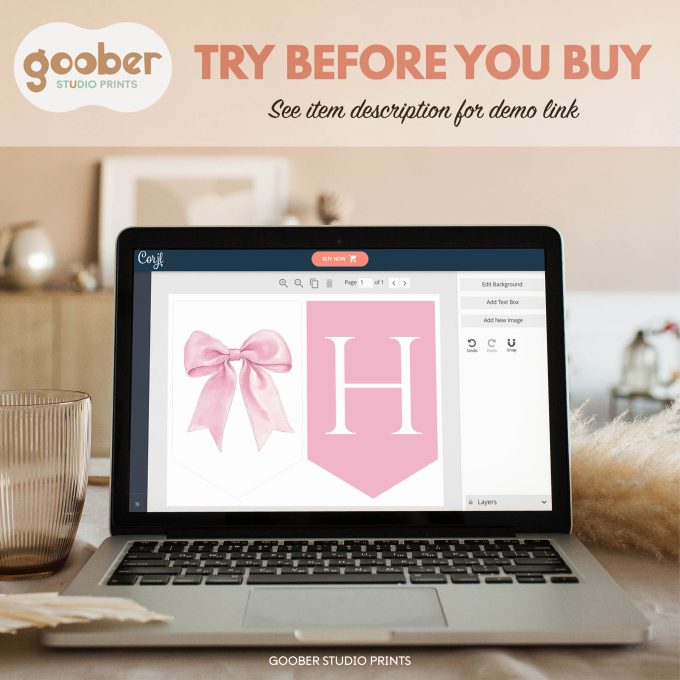 Pink Bow Coquette Birthday Banner - Image 7