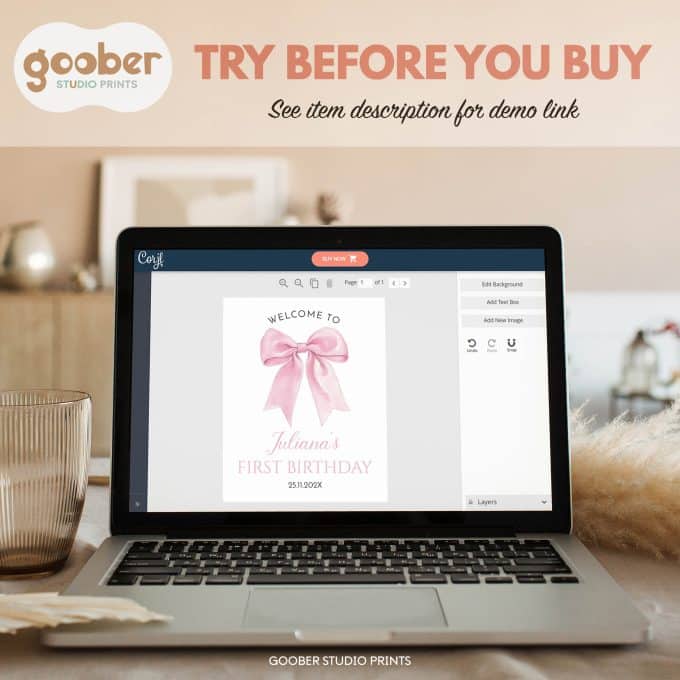Pink Bow Coquette Birthday Welcome Sign - Image 9