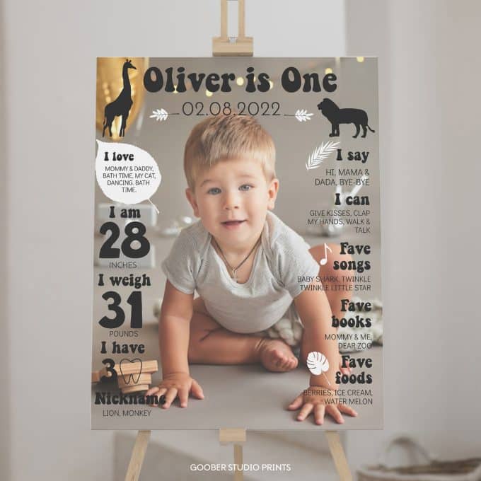 Modern Birthday Milestone Photo Poster
