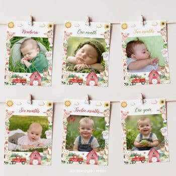 Farm Animals Birthday Party Monthly Photo Banner
