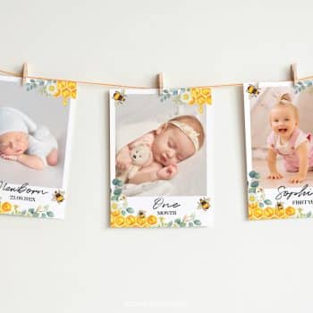 Bee Birthday Monthly Photo Banner