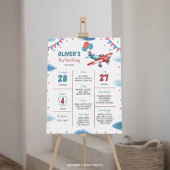 Airplane Birthday Milestone Poster
