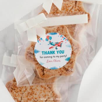 Airplane Birthday Thank You Favor Tag