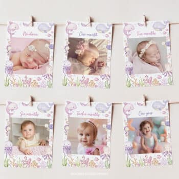 Pastel Under The Sea Birthday Monthly Photo Banner