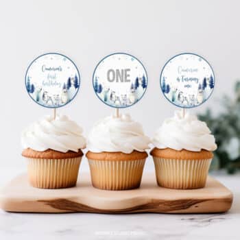 Winter Birthday Cupcake Toppers