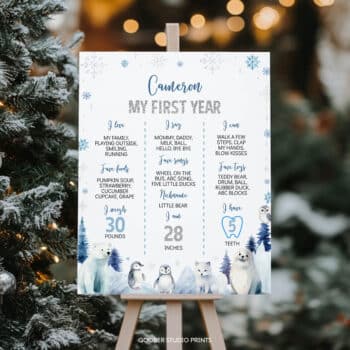 Winter Birthday Milestone Poster