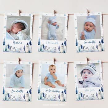 Winter Birthday Monthly Photo Banner