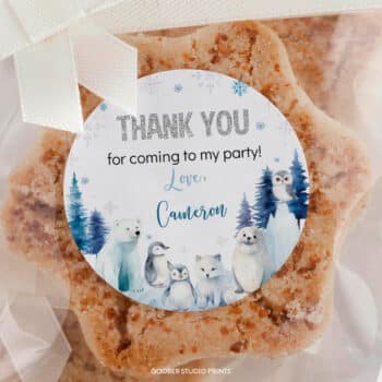 Winter Birthday Thank You Favor Tag