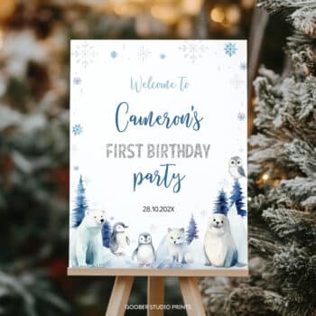 Winter Birthday Welcome Sign