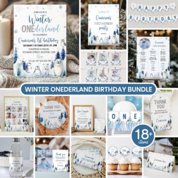 Winter Birthday Party Bundle