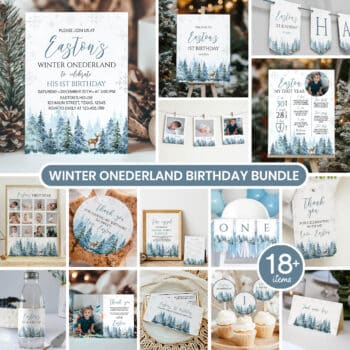Winter Birthday Party Bundle