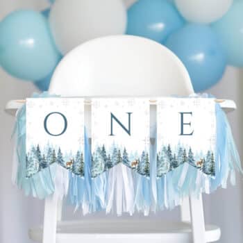 Winter Birthday Highchair Banner