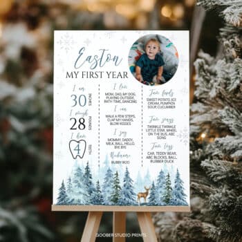 Winter Birthday Milestone Photo Poster