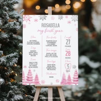 Winter Birthday Milestone Poster