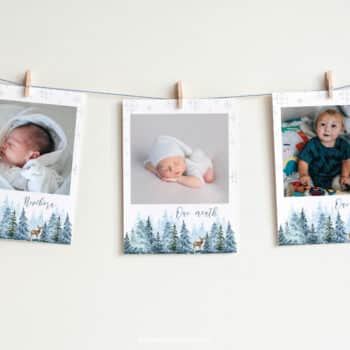 Winter Birthday Monthly Photo Banner