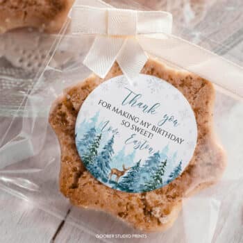 Winter Birthday Thank You Favor Tag