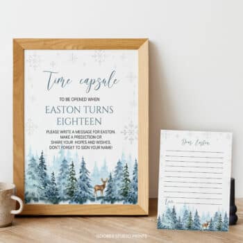 Winter Birthday Time Capsule Sign & Card