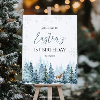 Winter Birthday Welcome Sign