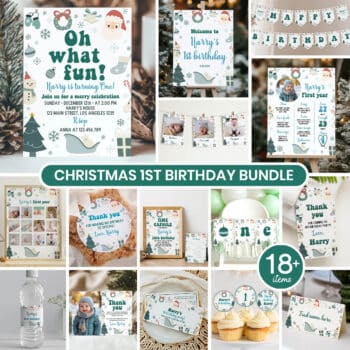 Christmas Winter Birthday Party Bundle