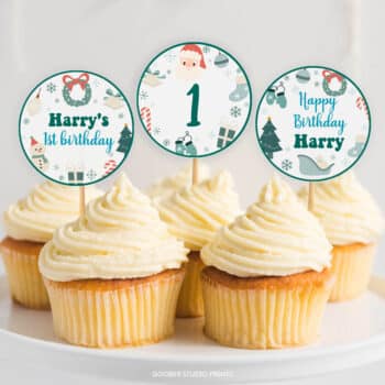 Christmas Winter Birthday Cupcake Toppers