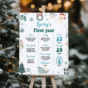 Christmas Winter Birthday Milestone Poster