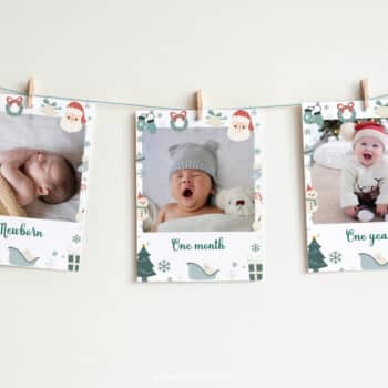 Christmas Winter Birthday Monthly Photo Banner