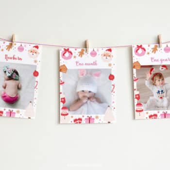 Christmas Winter Birthday Monthly Photo Banner