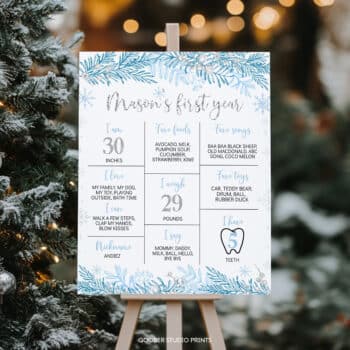 Winter Birthday Milestone Poster